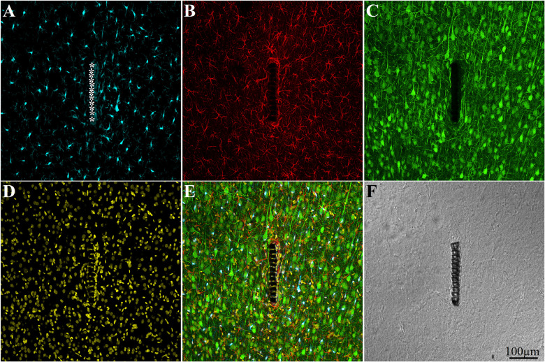 FIGURE 4