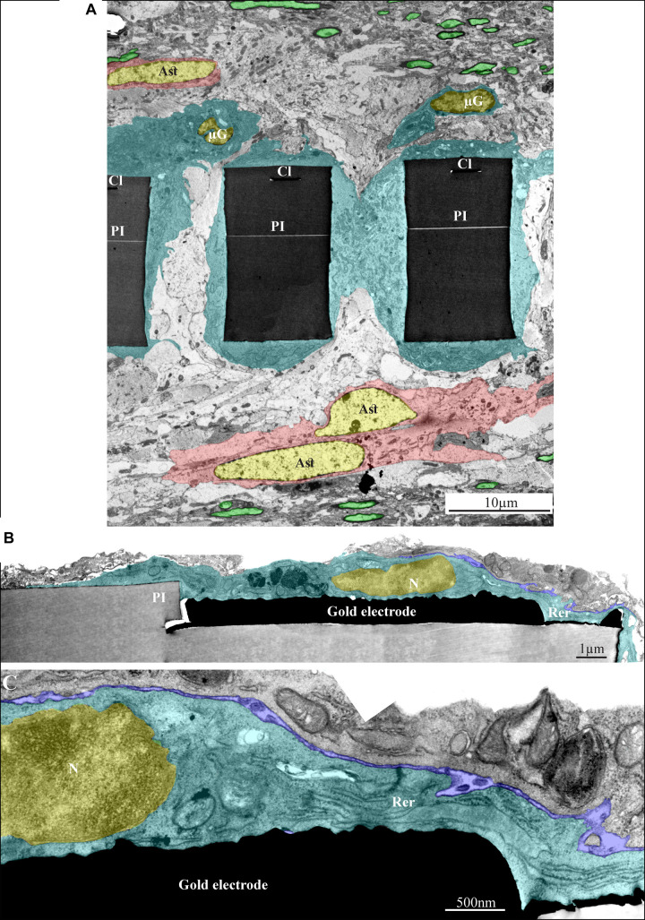 FIGURE 11