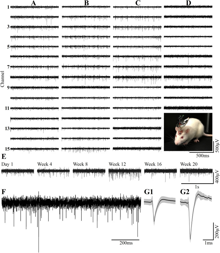 FIGURE 13