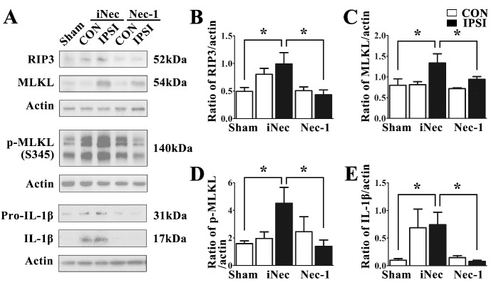 Figure 5.