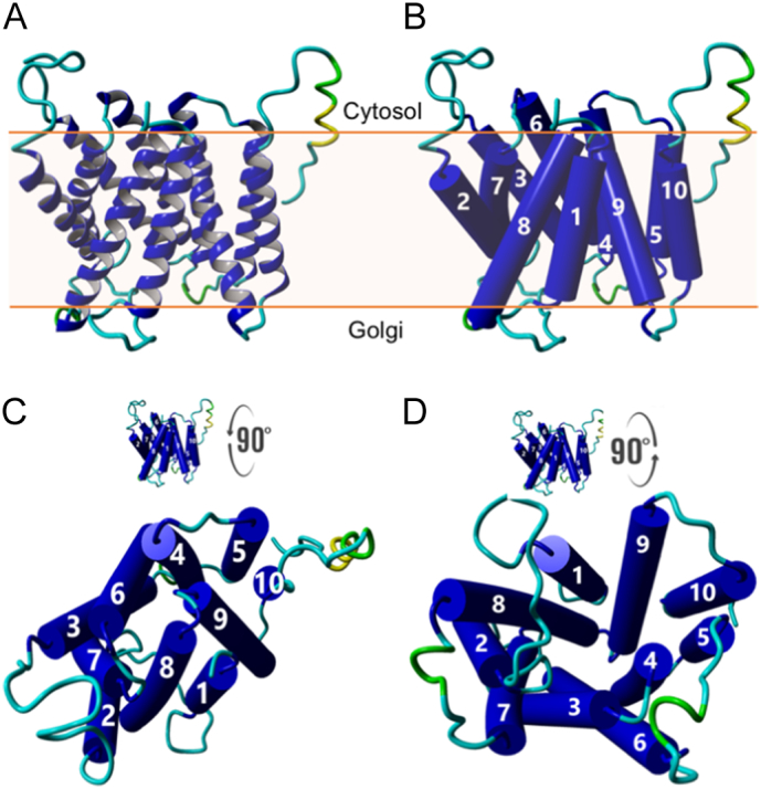 Fig. 1