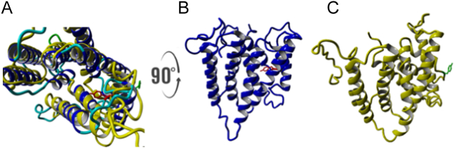 Fig. 6