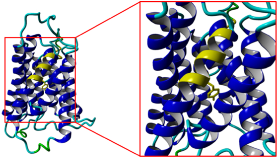 Fig. 3