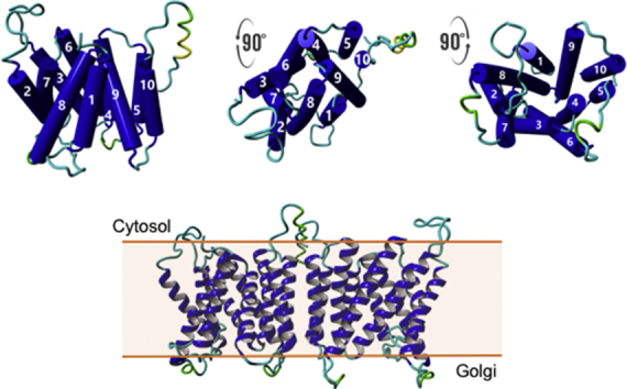 Unlabelled Image