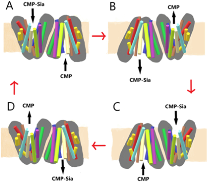 Fig. 4