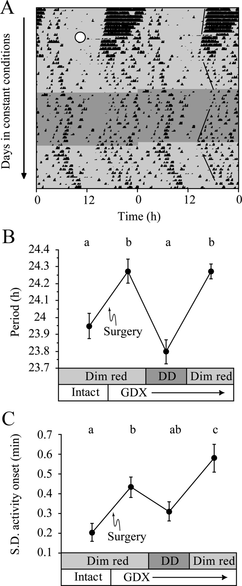 Fig. 4.