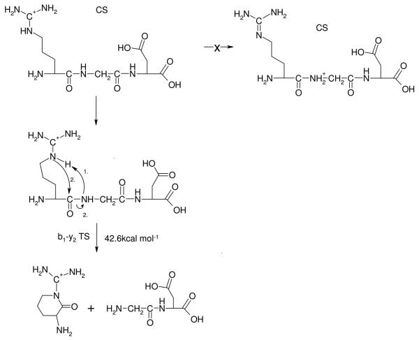 Scheme 5