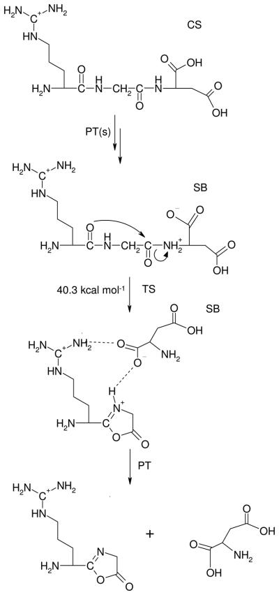 Scheme 2