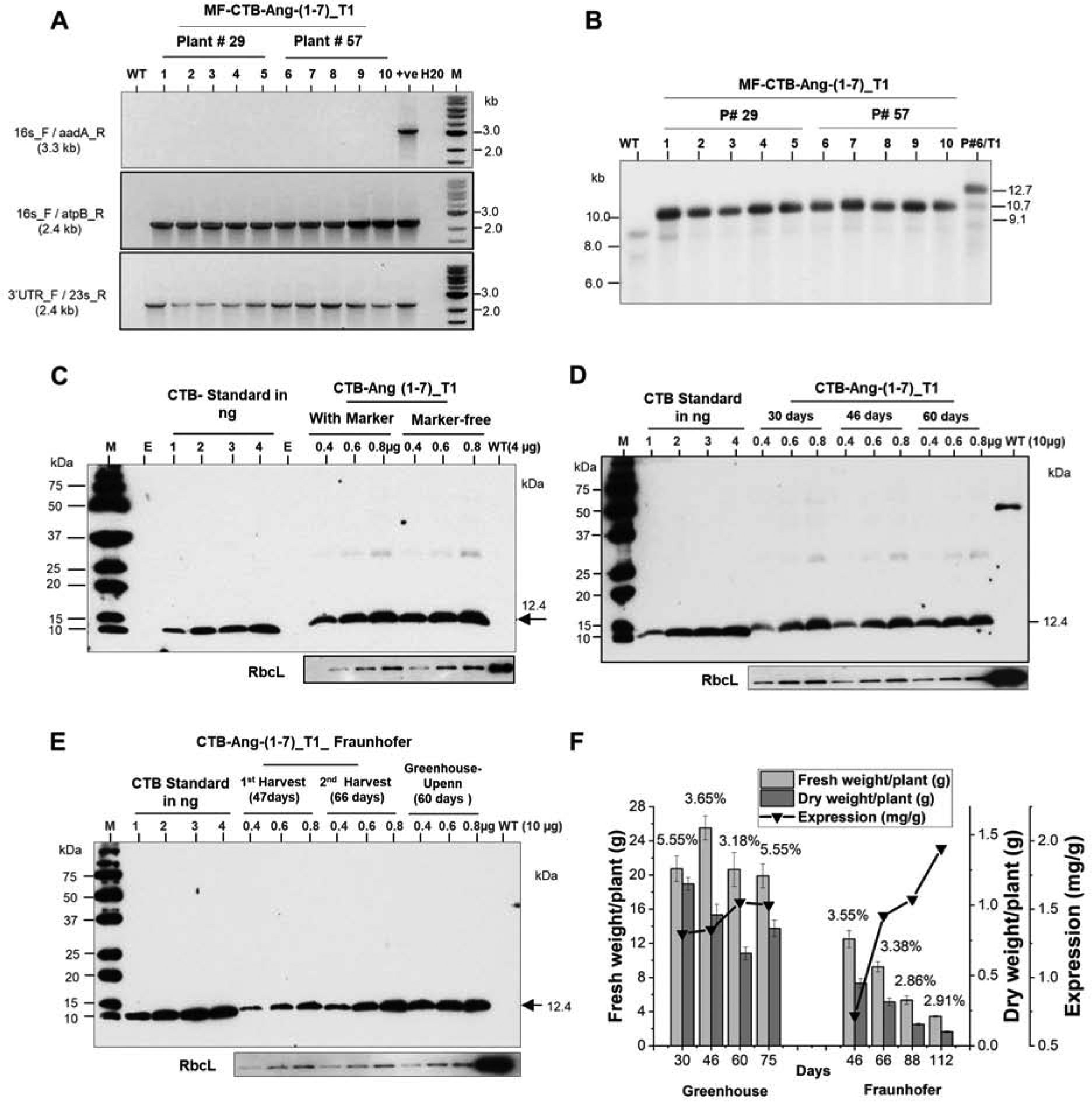 Fig. 3.