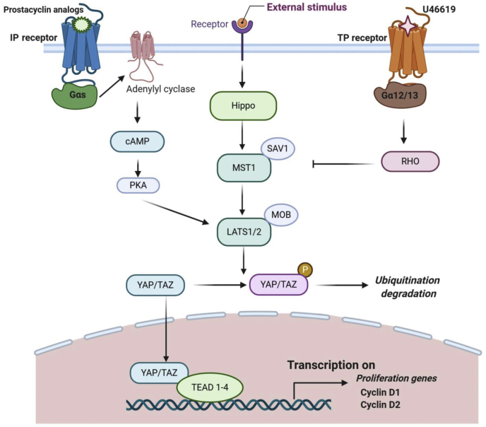 Fig 4