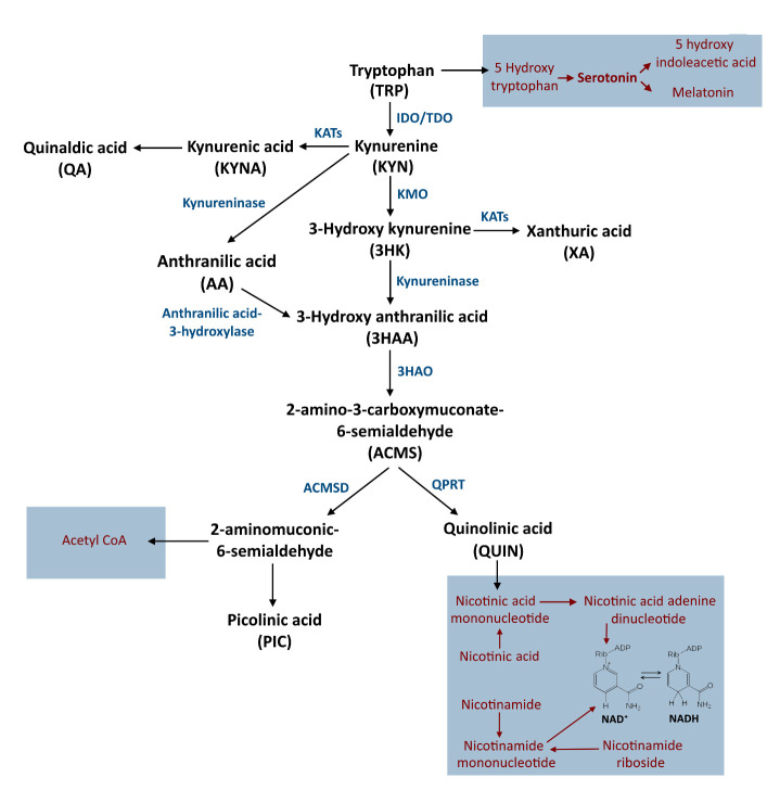 Figure 3.