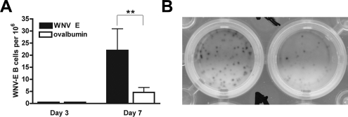 FIG. 5.