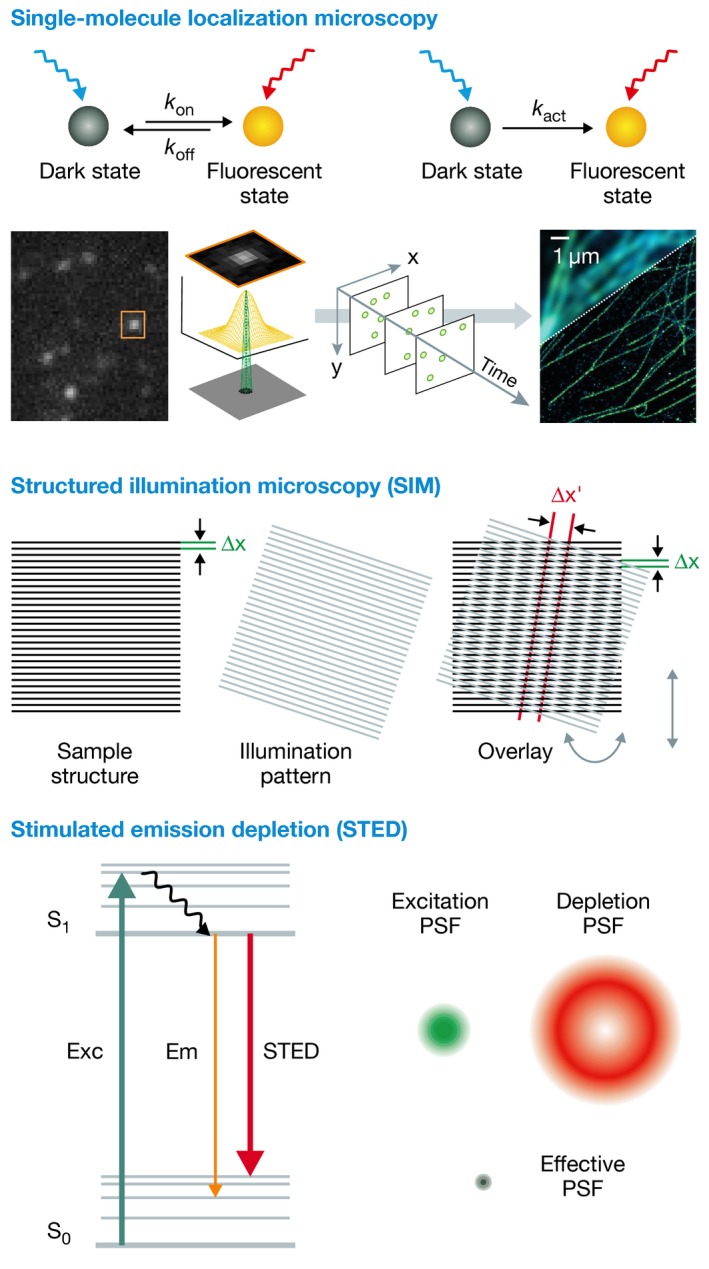 Box 2: Three concepts of optical super‐resolution microscopy