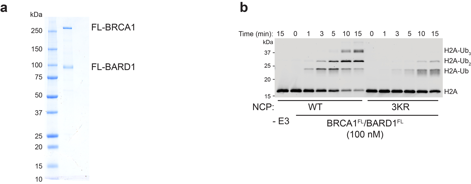 Extended Data Fig. 9