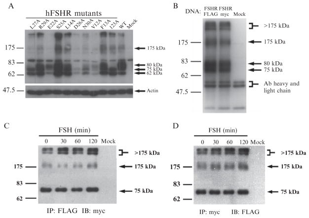 Figure 2.1