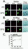 FIG. 7