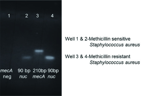 [Table/Fig-3]: