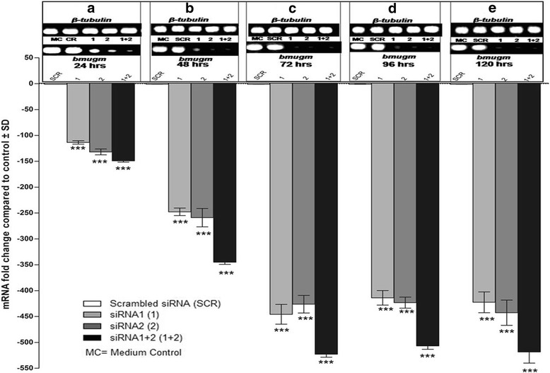 Fig. 8