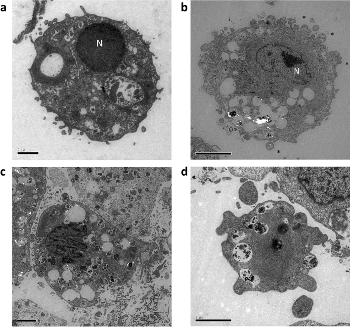 Figure 3 