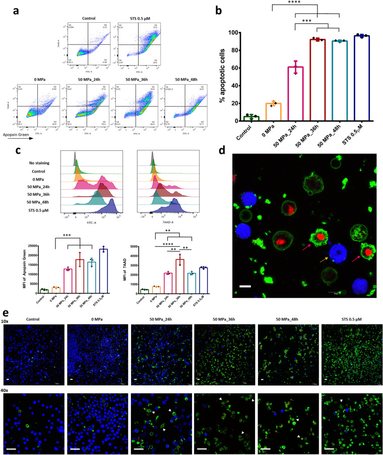 Figure 2 