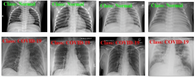 Fig. 7