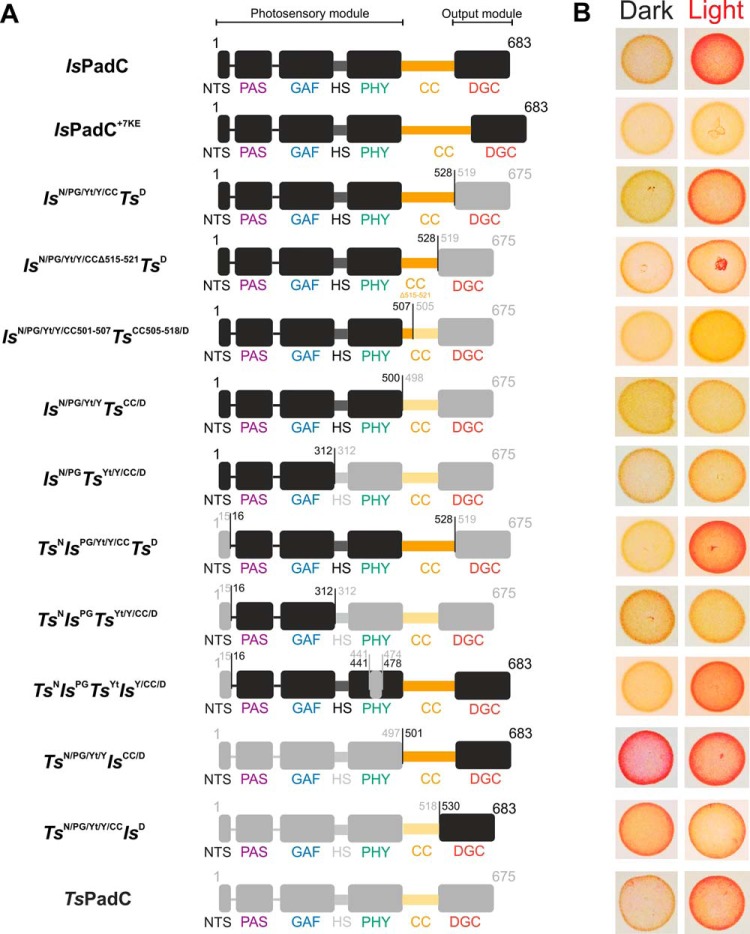 Figure 3.