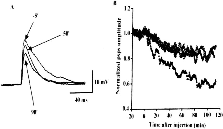 Fig. 10.