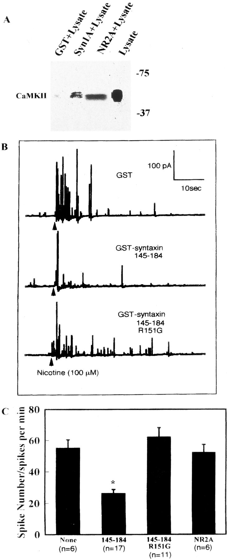 Fig. 9.