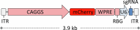 Extended Data Fig. 1