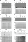 Extended Data Fig. 5