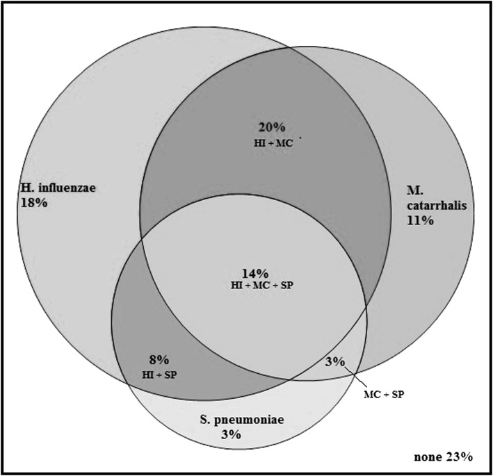 Figure 1 – 