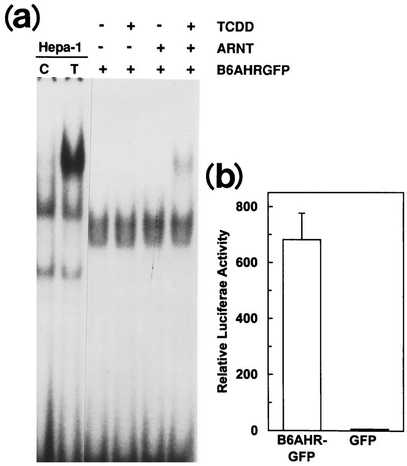 FIG. 5