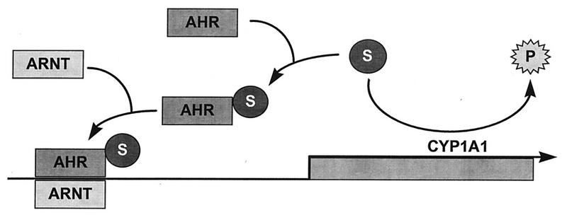 FIG. 8