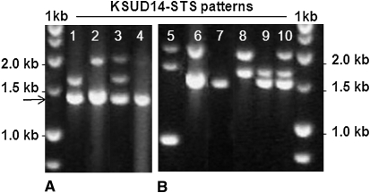 Figure 2.—