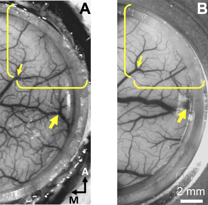 Fig. 8.