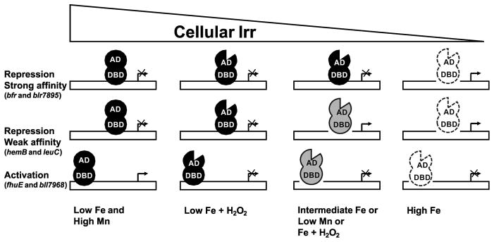 Fig. 9