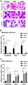 FIG 3