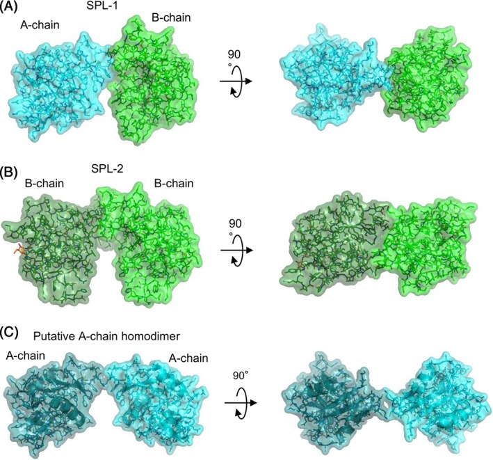 Figure 10