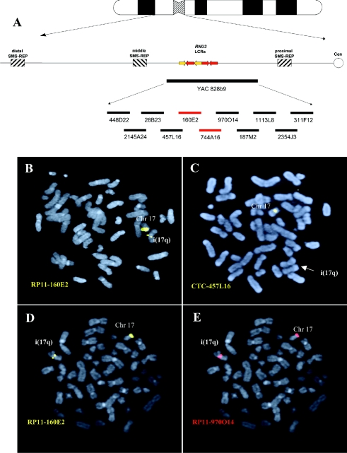 Figure  1