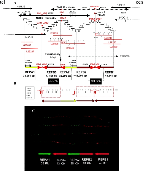 Figure  2