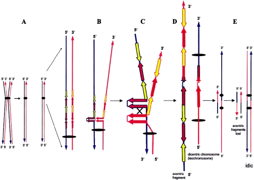 Figure  3