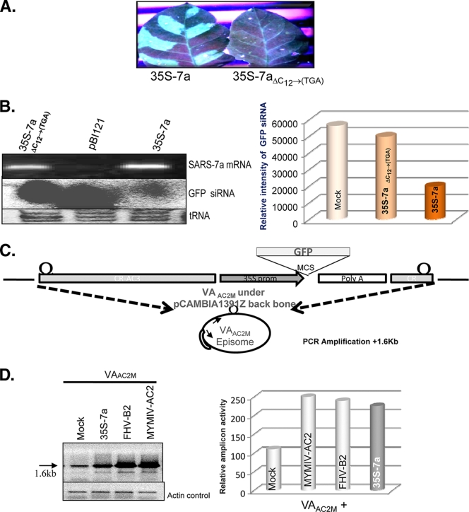 FIG. 2.