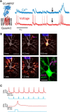 Figure 2.