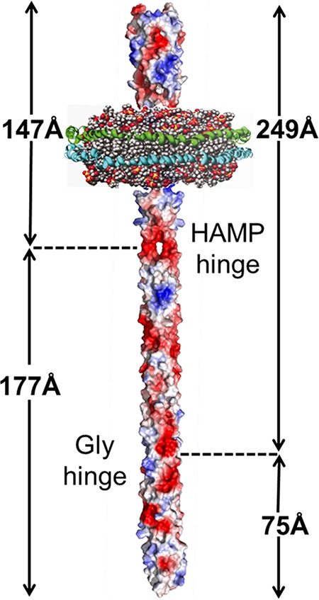 FIG 1