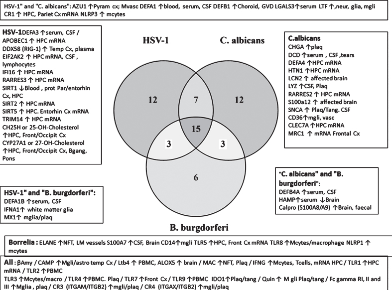 Fig.7B