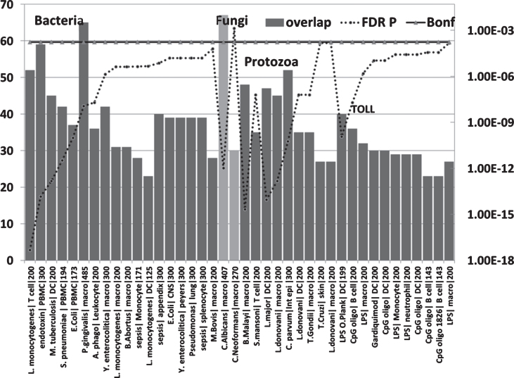 Fig.6