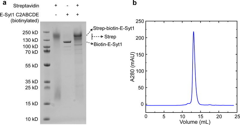 Extended Data Fig. 3.