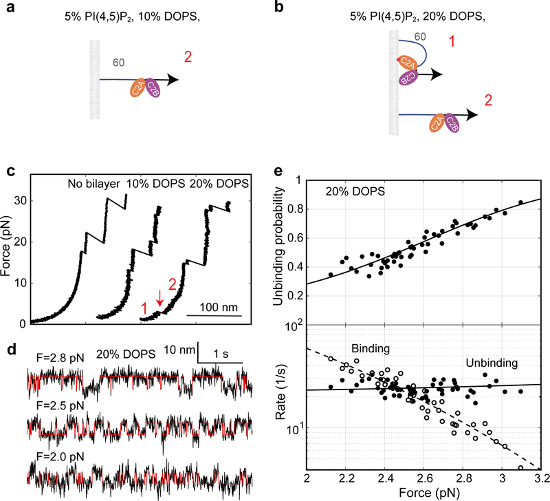 Extended Data Fig. 4.