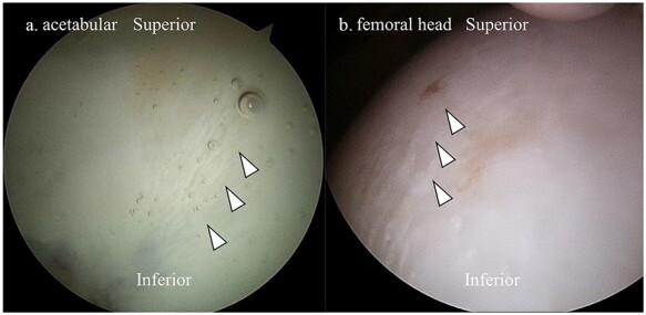 Fig. 2.