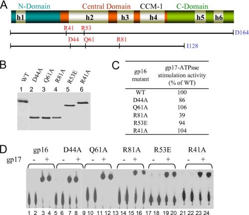 FIGURE 5.